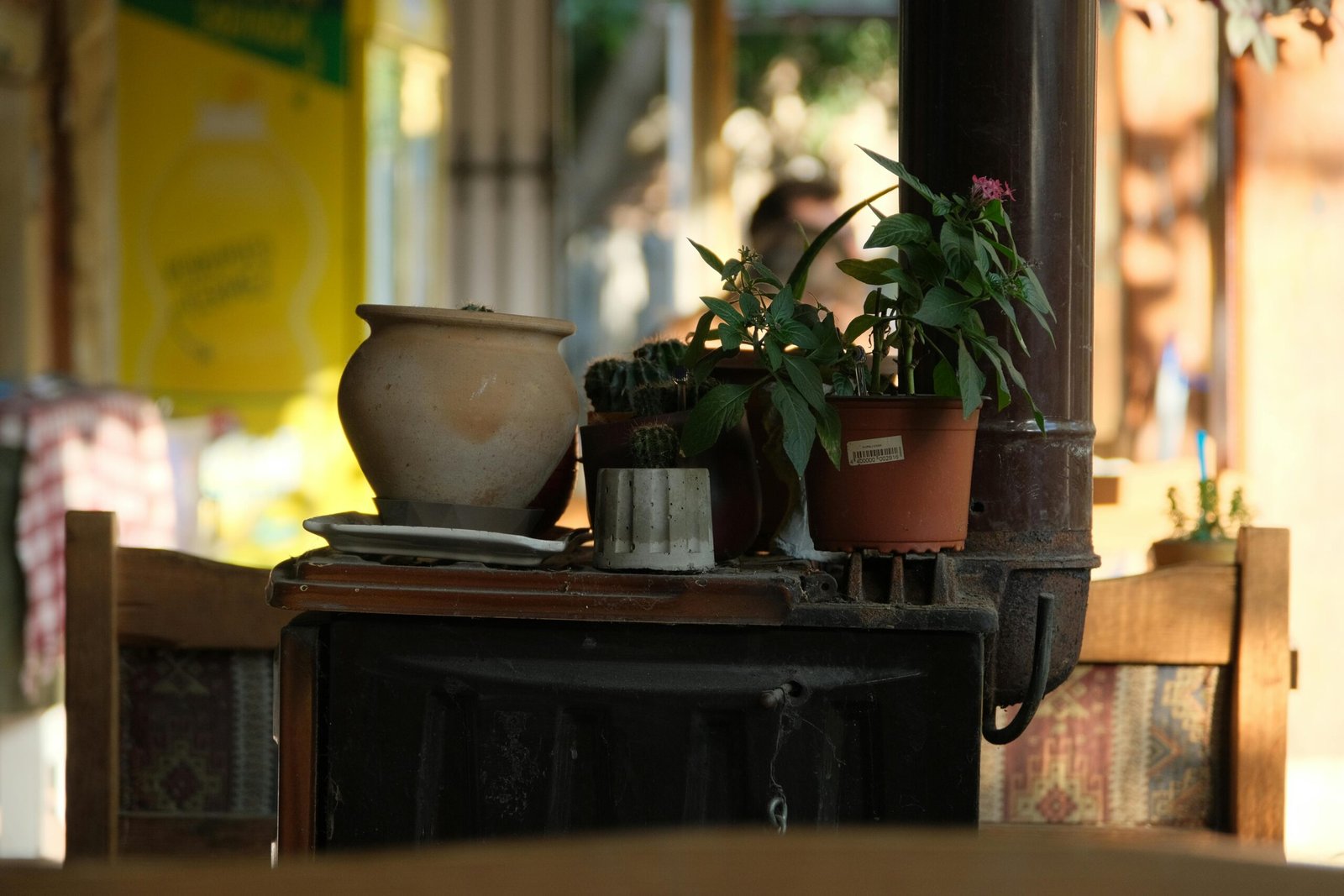 comprar online en Zaragoza